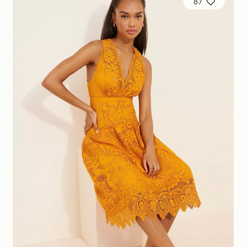 Farm Rio tropical lace parrot Midi Dress - Picture 3 of 12